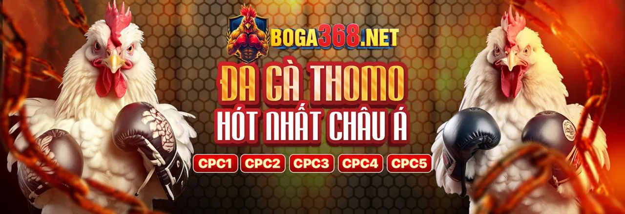 Hướng dẫn cá cược thể thao Vibet88