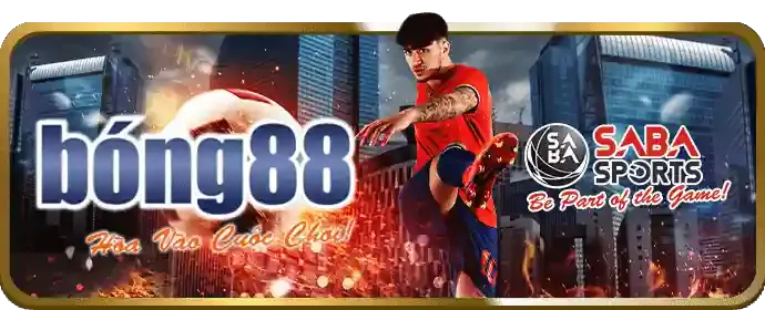 Chương trình hoàn trả và VIP vibet88